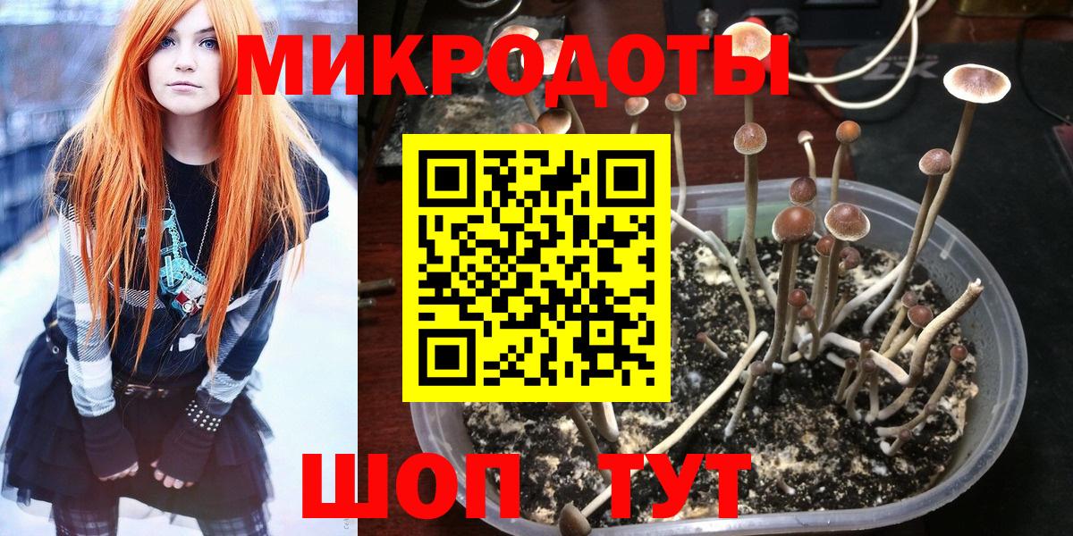 Галлюциногенные грибы Psilocybe  Вход с VPN  Великий Новгород  Галлюциногенные грибы Psilocybine cubensis 